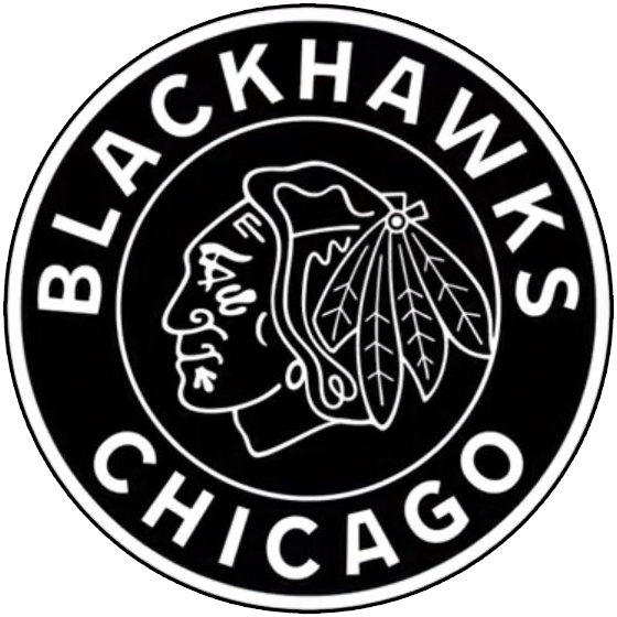 Chicago Blackhawks 2019 Special Event Logo iron on transfers for T-shirts
